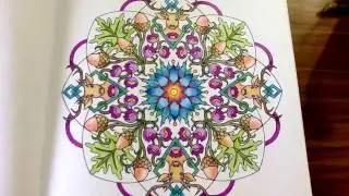 The Nature Mandala - colouring book by Cynthia Emerlye -  14 watercolour and coloured pencils pages