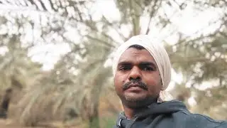 Dalsinghar Saudi arab लाइव है!