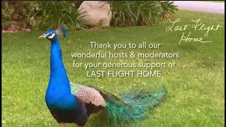 The T-Team Thanks LAST FLIGHT HOME&rsquo;s Champions