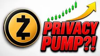 Zcash ZEC Today, Privacy Metrics