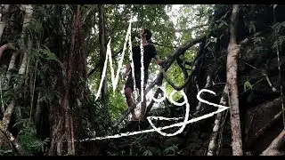Ancient Jungle Ruins | Search for a Kings Tomb - Mlog No. 012