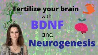 Could BDNF and Neurogenesis Be The Natural Solution to Depression and Memory Loss?