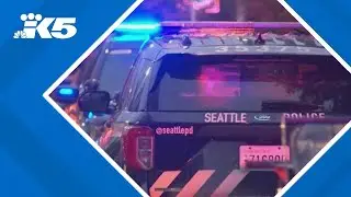 Mother suspected of killing son in Seattle apartment