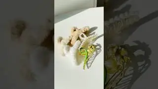 Hair claw clips from Meesho under ₹150 🤩 #youtubeshorts #meeshofinds #hairaccessories #viral #trend