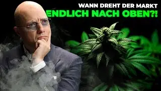 &Uuml;berlebt der Cannabis Riese?