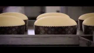 Bacco - Tipicit&agrave; al Pistacchio - Fatti col Cuore - Le Produzioni di Bacco - Made in Sicily - Bronte