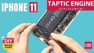 iPhone 11  Taptic Engine Replacement | Vibration