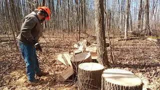 How to split a face cord of wood in 5 minutes