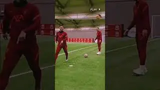 #vandijk #thefocus