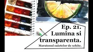 Maratonul caietelor de schite. Ep. 21. Lumina si transparenta.