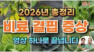 비료 주기 전에 꼭 보세요! 잎만 보고 부족한 양분 찾아내는 법 (총정리) | 비료전문가가 알려주는 양분결핍 확인하는 방법