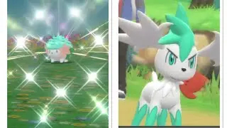 Shiny Shaymin Pokémon Brilliant Diamond after 1755 runaways + Sky Form showcase (Mythicals complete)