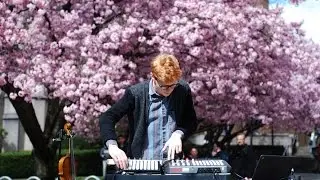 Manatee Commune &ldquo;Blueberry&rdquo; | Sounds by the Sound