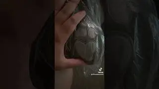 Squishmallows target exclusive Wallis has arrived !!!