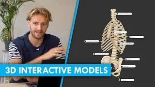Interactive 3D Models