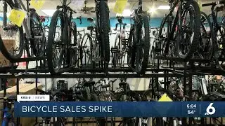 Bicycle Sales Increase
