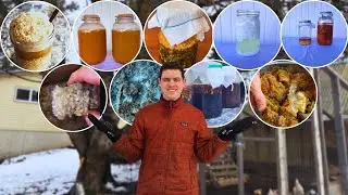 Get Started with Korean Natural Farming in 2026
