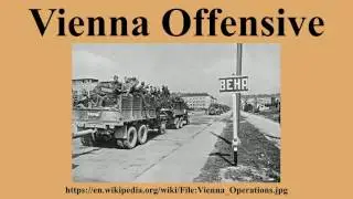 Vienna Offensive