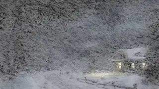 Sounds to Sleep | Heavy Blizzard & Blasting Wind Sounds for Deep Sleep
