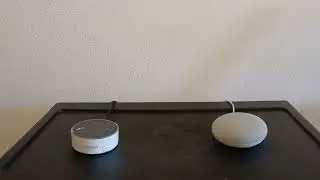 Who can understand better, echo dot 2nd Gen OR Google home mini.