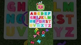 What Letter is Next ? - Learning ABC'S with Ms Appleberry and JJ