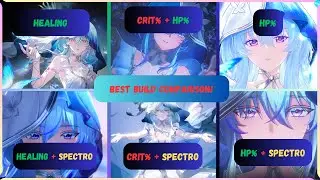 The Best Shorkeeper Build Comparison ever! [Wutherting Waves]