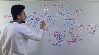 2) الطريق الطبيعي و آلية السمع 