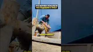 Эти моряки пожалели что подошли к тросу