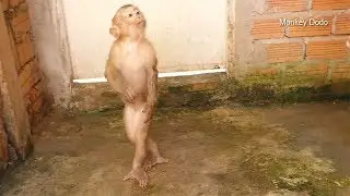 Wow Dodo Saying What With Mom Before Go To Bath