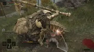 Killed tree setinal