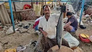 SEER FISH CUTTING/ VANJARAM FISH CUTTING IN KASIMADU #fishcutting #kasimedu #seafood