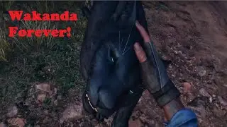 How to Pet a Black Panther in Far Cry 6