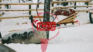 JINGLE BELLS [M&uacute;sica Gratis Sin Copyright] [TMSC]