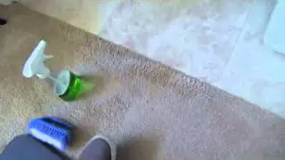 More carpet spot cleaning tips