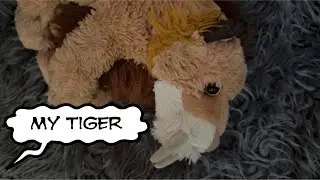 Что случилось с любимой игрушкой мопса?