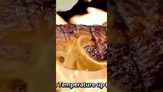 Top Trend Amazon Product INKBIRD Wireless Meat Thermometer #shorts #shortvideo #top #trend #amazon