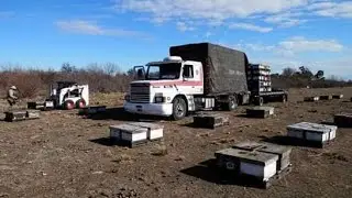 Cambio en el medio de logística apicola .#61
