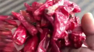 Chili Pepper Sorting Machine,  Contact:Mr. Wen Cao, Email:wencao312@qq.com, WhatsApp:+86-18326110167