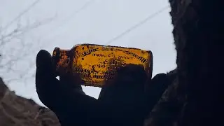 Incredible discovery digging 2 old town dumps. 