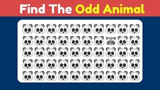 Find The Odd Animal Out! 🐼 Odd One Out Puzzle (90% Fail)