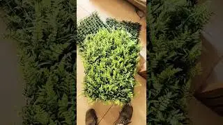 Artificial Grass Mat wholesale market 9928660750