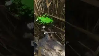 アルビノの雄羊を見逃すところだった！ | 野生のハンターの呼び声