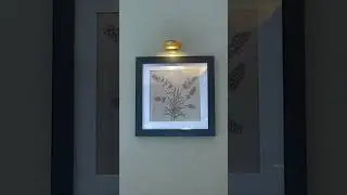 Who knew lights could slay on a budget?