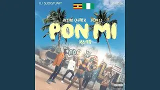 Pon Mi Remix