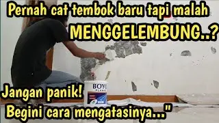 CARA MENGATASI CAT TEMBOK  YANG MENGGELEMBUNG