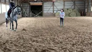 Jazz first trot under saddle