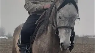 Чон торпок улака жарайт +996-504-150-800. 20 января 2026 г.