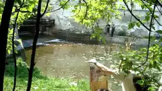 MOV01748  Пленэр Russian Art Week Российская неделя искусств Plein air