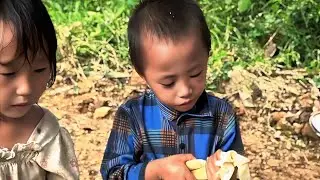 A Mother Who Raised Her Three Children in the Forest After Escaping an Abusive Husband