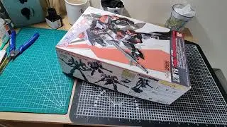 Decided on the first build - NG Hail Buster Gundam 1/100